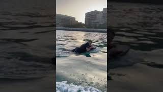 Czn Burak Farkıyla Denizde Soğan Kesme