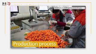 Container Bolt Seal For Customs Product The Goods Safety