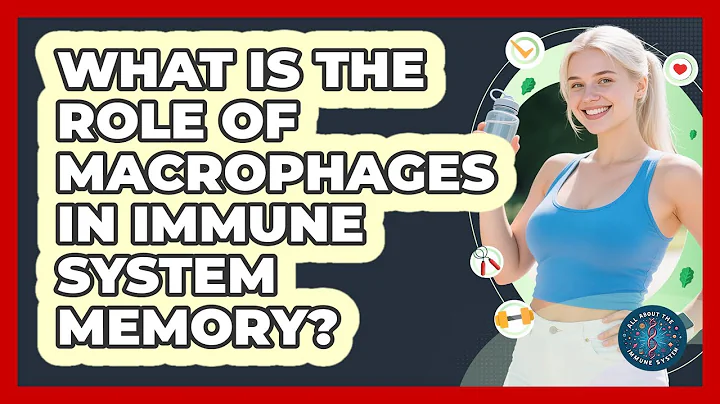 What Is The Role Of Macrophages In Immune System Memory? - All About the Immune System
