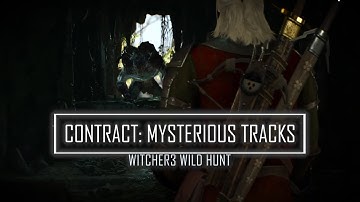 CONTRACT: MYSTERIOUS TRACKS: WITCHER 3 WILD HUNT