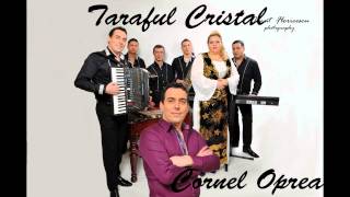 Video thumbnail of "CORNEL OPREA -Salcamule de la drum"