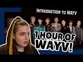 NEW FAN reacts to A Guide to WayV (威神V) *Getting to know NCT before they have 100 members*