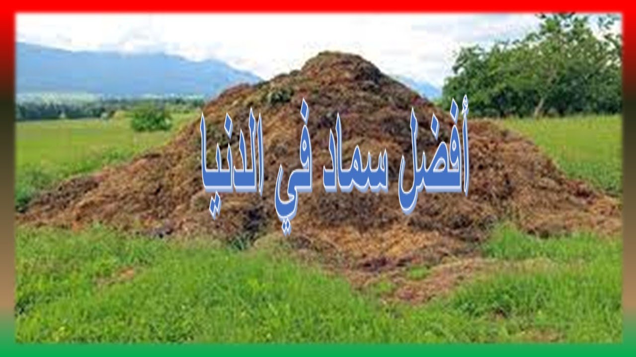 أفضل سماد في الدنيا