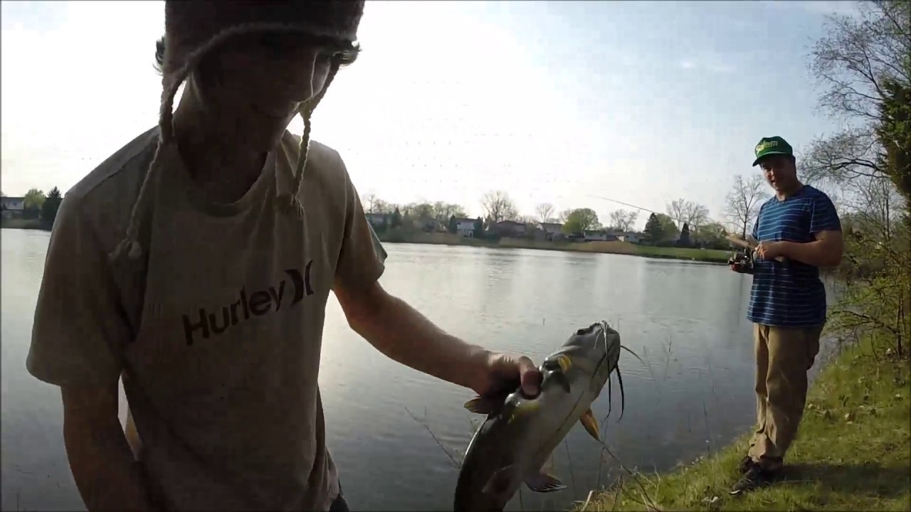 Catfishing with a FLY fishing rod!! YouTube