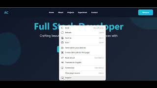 Portfolio Website Using HTML CSS & JavaScript | Simple & Modern Portfolio Design