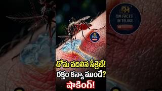 దోమ వదిలే ఆ సీక్రెట్ ఏంటి? 🦟🤔 || #shorts
