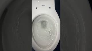 First Time Installing 2 Flush Valve Toilet American Standard