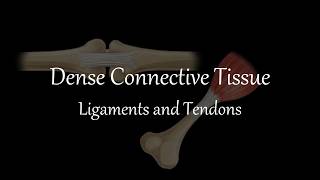 Dense Connective Tissues - Ligament and Tendon | Animal Tissues | Class 9 | Life Science