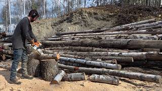 This log pile is bigger than it looks