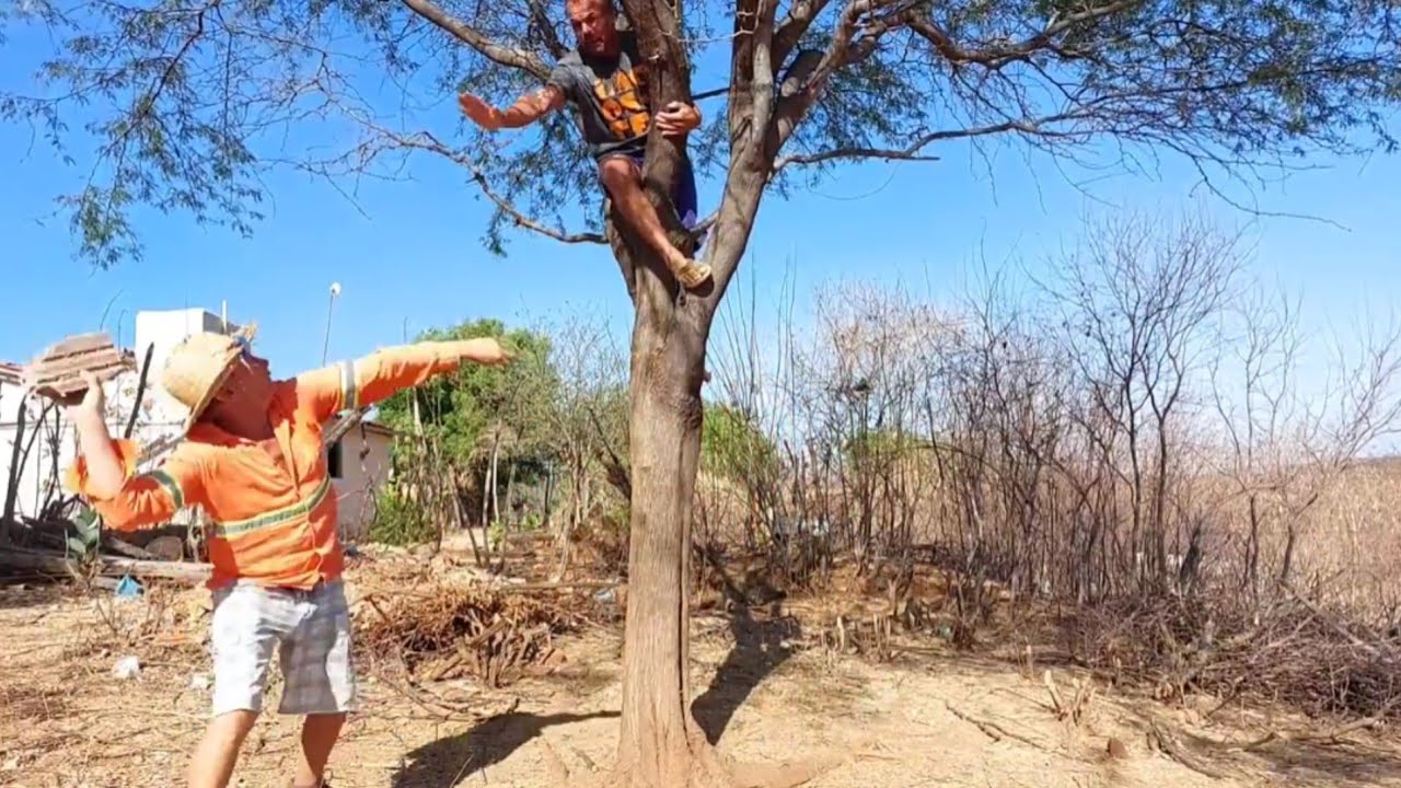 Bastidores  !! Seu Mané escondeu a linguiça  no bolso  !!!
