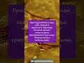 Crypto Mine Solutions - Бизнес, который работает за Вас и для Вас! С нами зарабатывают Все и Всегда!