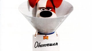 Тайная жизнь домашних животных 2 Тайная жизнь домашних животных 2