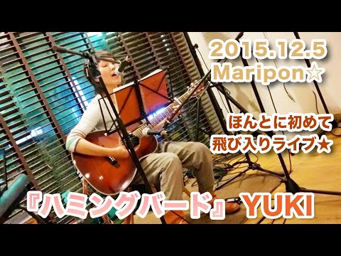 YUKI ハミングバード Maripon☆　～ 2015.12.05～