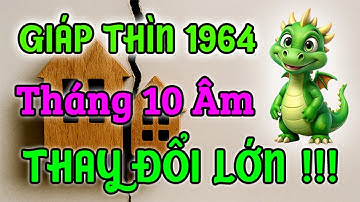 THAY ĐỔI LỚN CẦN BIẾT! Gia Đạo Giáp Thìn 1964 Tháng 10 Âm 2025