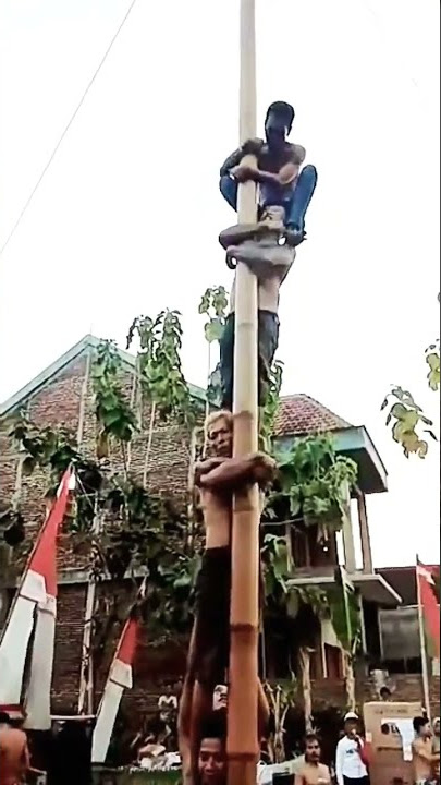 PANJAT PINANG LUCU MELOROT