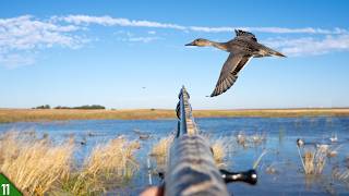 MIXED BAG Duck Hunt in a NEW Spot! (Limited Out)