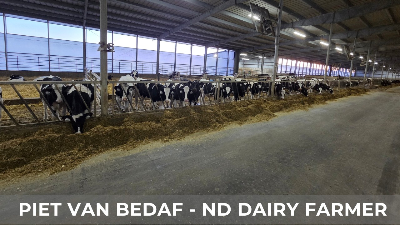 Цена на молоко ужасна, что делать дальше? (229)