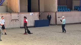World Championship Obedience 2022  FCI obedience. Qualification  Simone Holdensgaard + Rayder