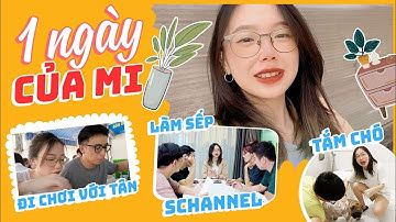 1 ngày của Mi : Đi chơi với Tân, tắm cho chó, làm sếp Schannel