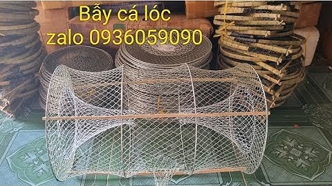 Bán lờ cá lóc cải tiến, bán bẫy cá lóc cải tiến, bán bẫy cá lóc, bán bẫy cua. Zalo 0936059090.