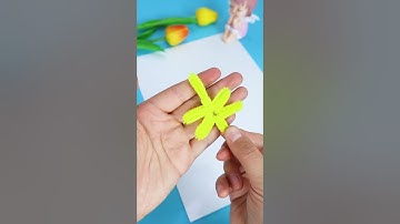 IOOLEEM Easy Crafts | Pipe Cleaner Animals | Pipe Cleaner Crafts | Pipe Cleaner Turtle