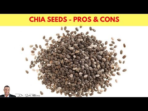 chia-seeds---pros-&-cons,-benefits-&-warnings---by-dr-sam-robbins