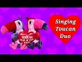 Gemmy animated Singing Toucan Duo