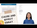 How to Write a Cause and Effect Essay (Steps & Examples)