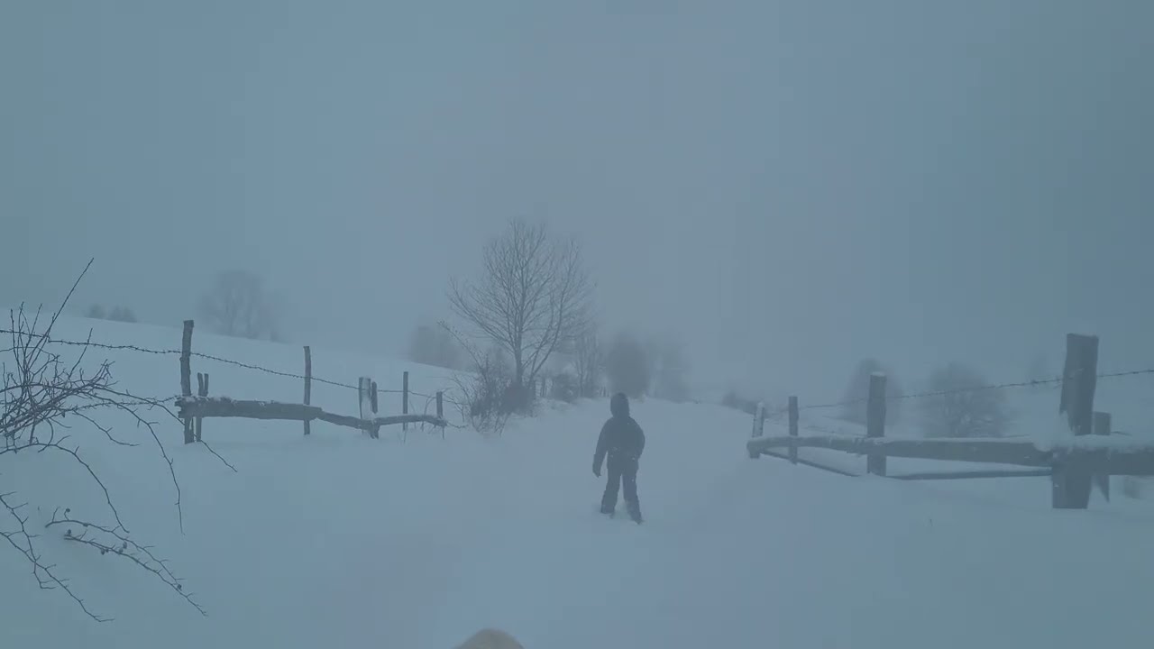 Метель и густой туман: суровая реальность зимы! ❄️ Скучаю по солнцу