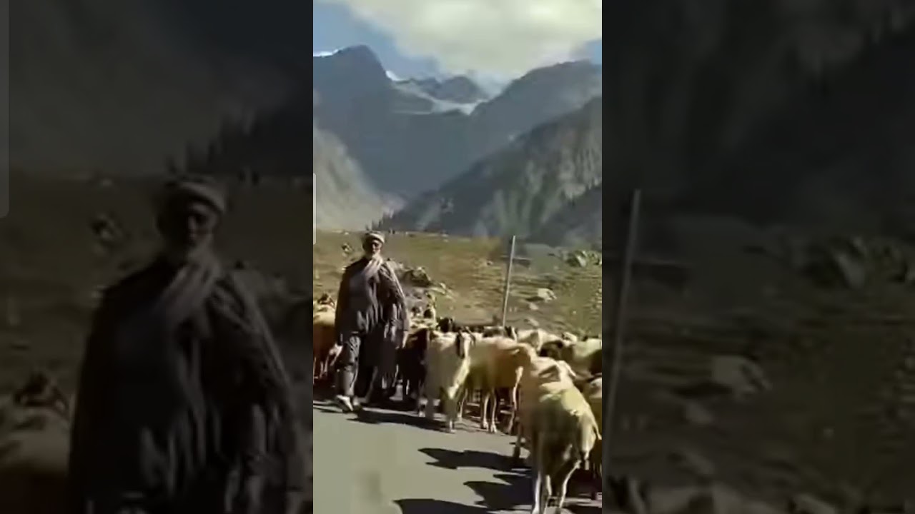 Seasonal n Nomadic life in the Hindu Kush mountain range