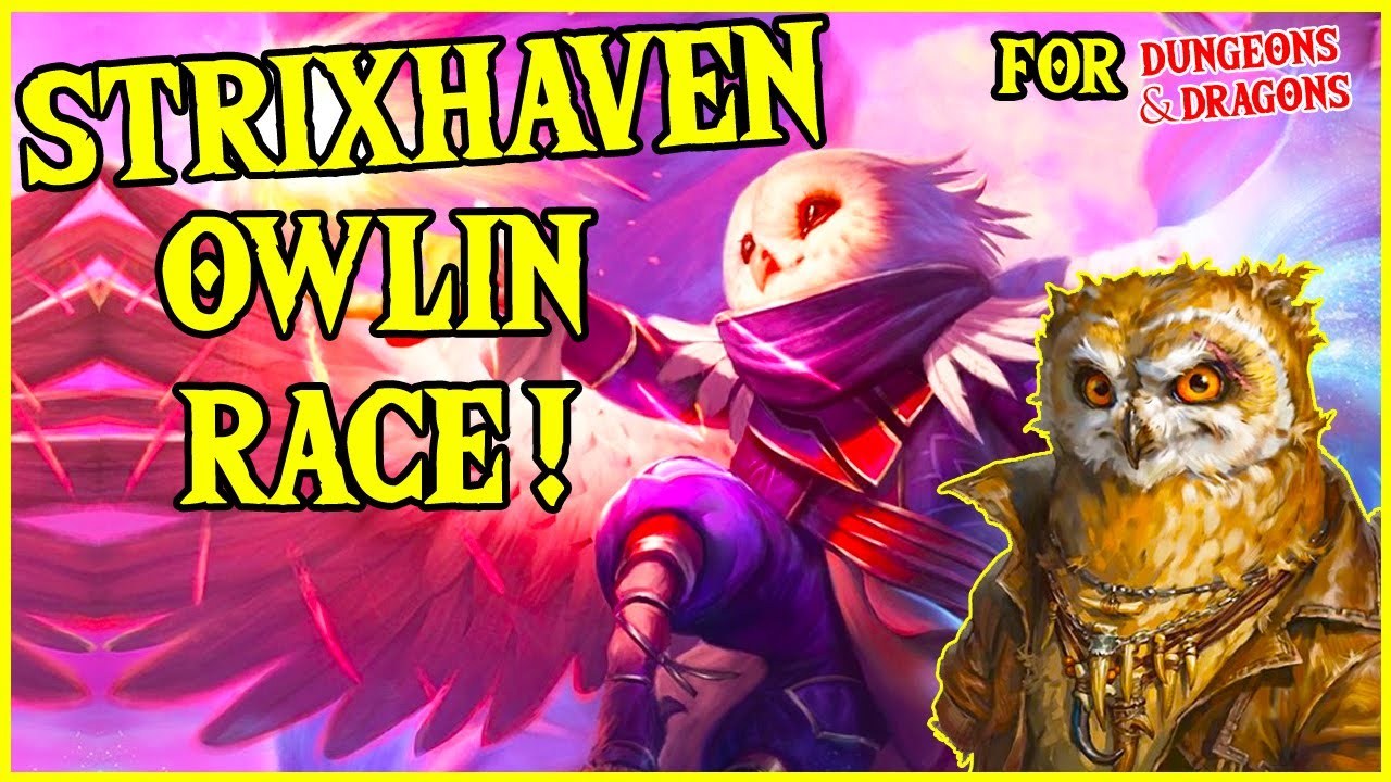 Owlin Race found in Strixhaven A Curriculum of Chaos for Dungeons and Dragons