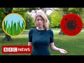 New video by BBC News on YouTube