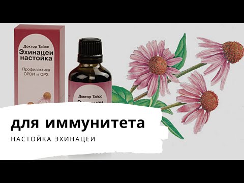 Настойка эхинацеи для иммунитета - как принимать капли взрослым