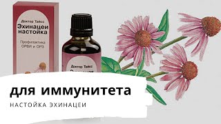 Настойка эхинацеи для иммунитета - как принимать капли взрослым