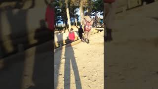 Çanakkale Türk Siperleri Cong Bayırı