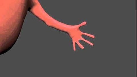 Z Brush 4 r4 Undo History Movie Creation Test