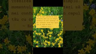 #eckharttolle #constientizare #ganduri