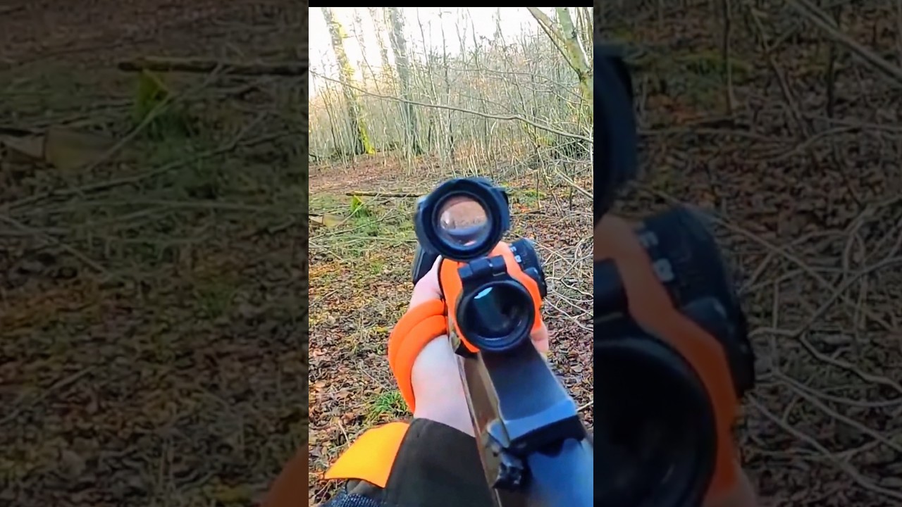 На волосок кабан ускользнул 