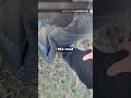 Drunk Bus Driver Crashes Into A House