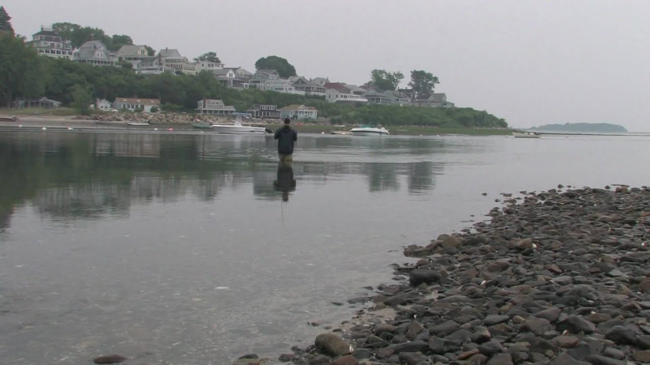 40 inch Striped bass fishing cheating with plastic to catch crane beach