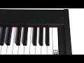 Korg D1 Digital Piano : video thumbnail 1