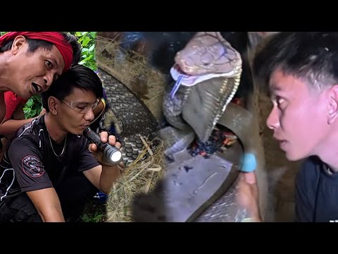 MGA ALAK PINASOK NG MGA COBRA