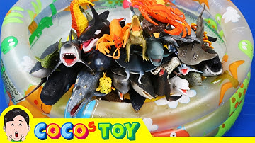 크리스마스 랜덤 선물 상자! 해양동물과 물에 사는 동물편, 동물이름 외우기ㅣ꼬꼬스토이