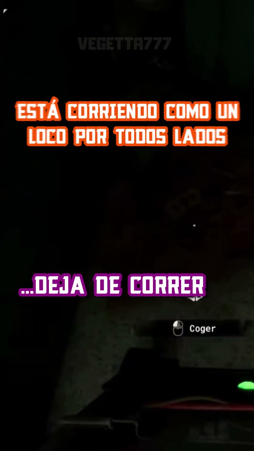 ¡WILLY, DATE LA VUELTA!