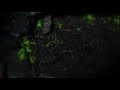 Goblin Gold Luminous Moss (Schistostega pennata) 2Of2