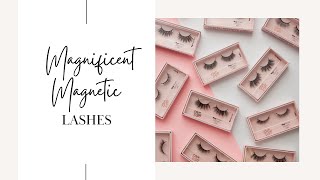Magnificent Magnetic Lashes screenshot 5