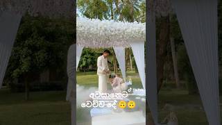 #wedding #traditinal #srilanka #love @Lk-tx2eu @weddingtones @YouTube #weddingday #italy