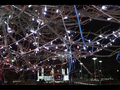 რუსთავში საახალწლო სოფელი საზეიმოდ განათდა