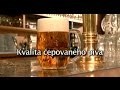 Plzeňský Prazdroj - kvalita čepovaného piva