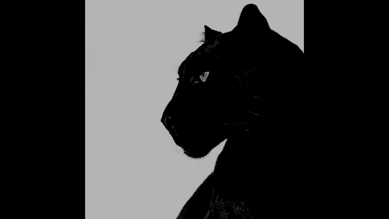 [FREE] Future Type Beat  (HARD) - 